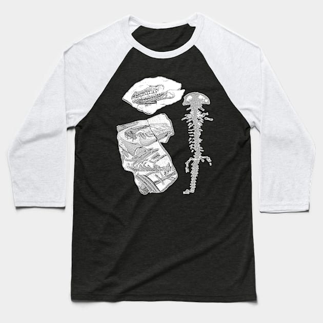 Dinosaur Fossils | Paleontology Archeology Dino Bones Baseball T-Shirt by encycloart